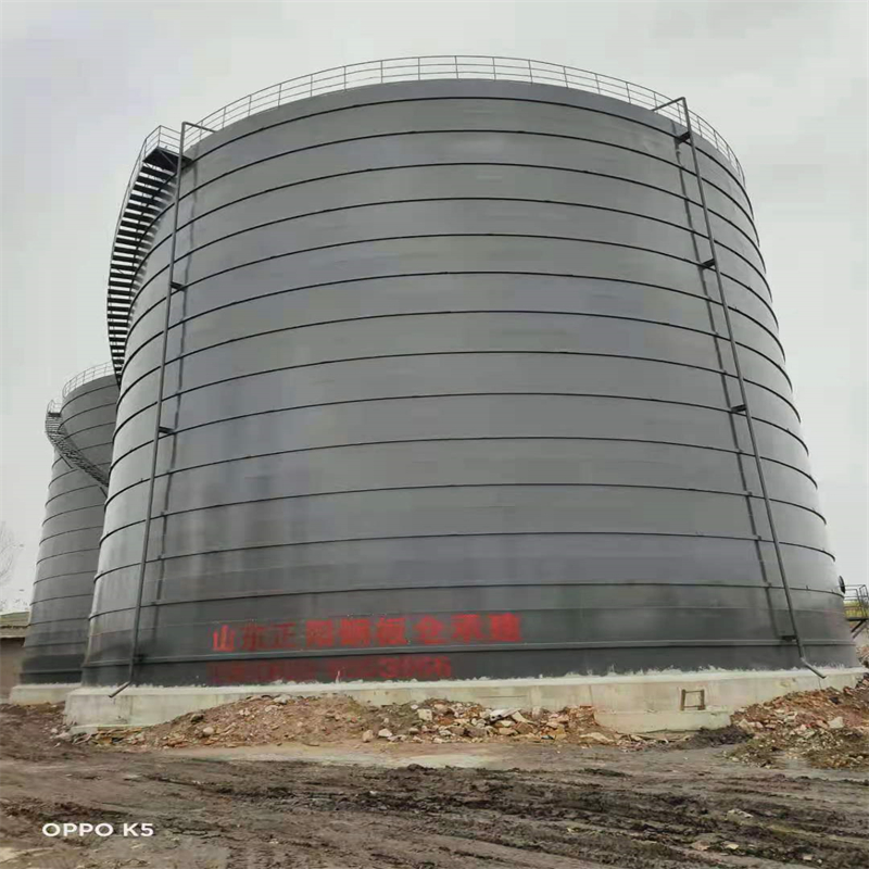 志仲镇3万吨大型钢板库