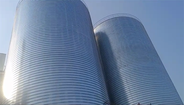 志仲镇2座混凝土高架卷板仓